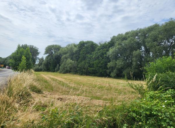 2 terrains à bâtir de 802 et 906 m². A SART-SAINT-LAURENT. 95.000,00 € et 99.000,00 €