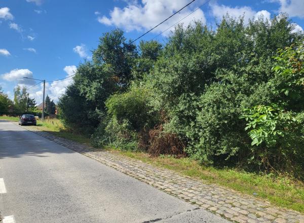 Un grand terrain plat de 3.172 m² avec un PUCG pour 6 maisons.
Idéalement situé à l'entrée du village et à 20' de VALENCIENNES et 25' de MONS.
6 maisons prêtes à construire.